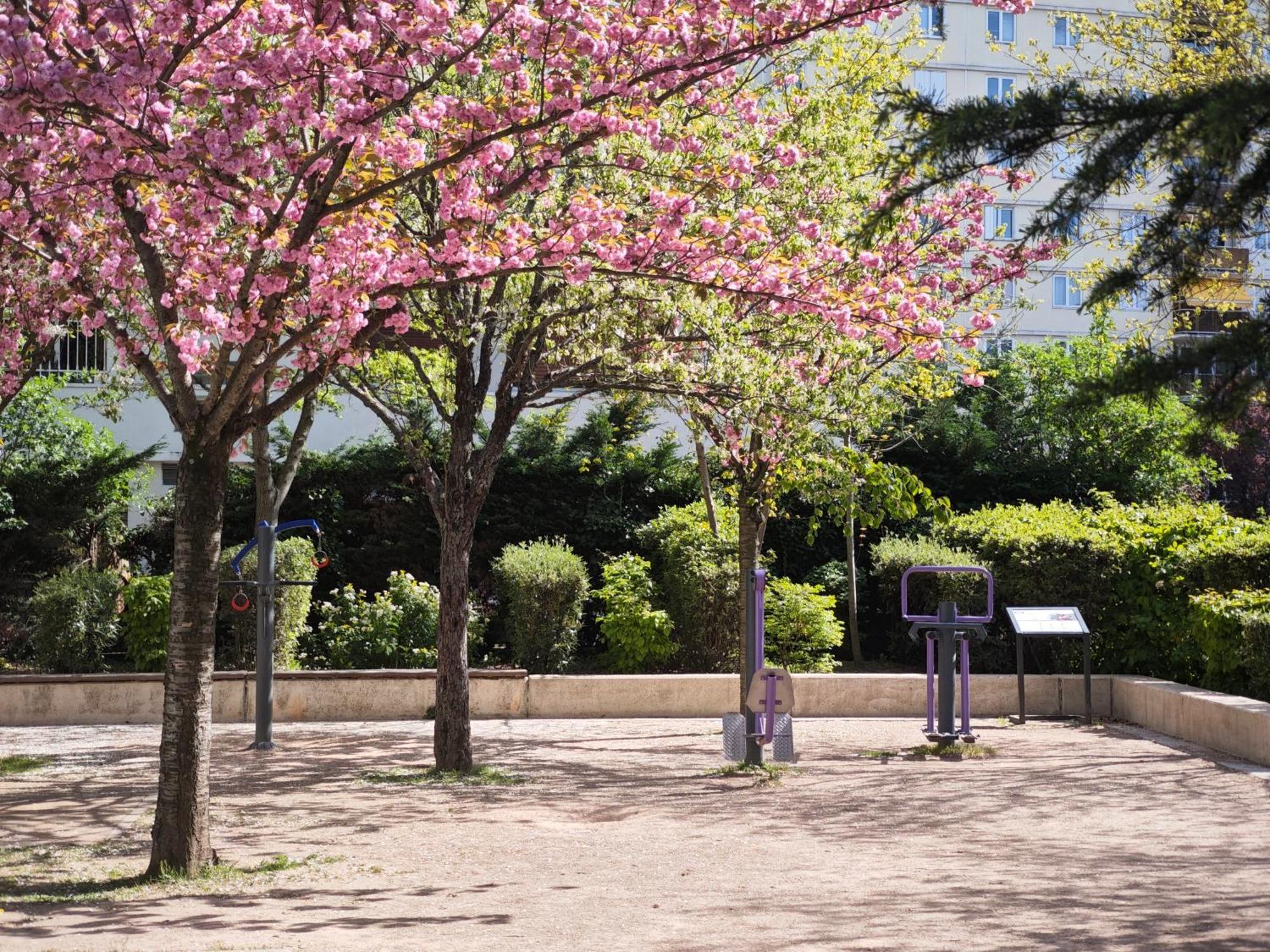 Au Jardin Suspendu Apartment วองว์ส ภายนอก รูปภาพ